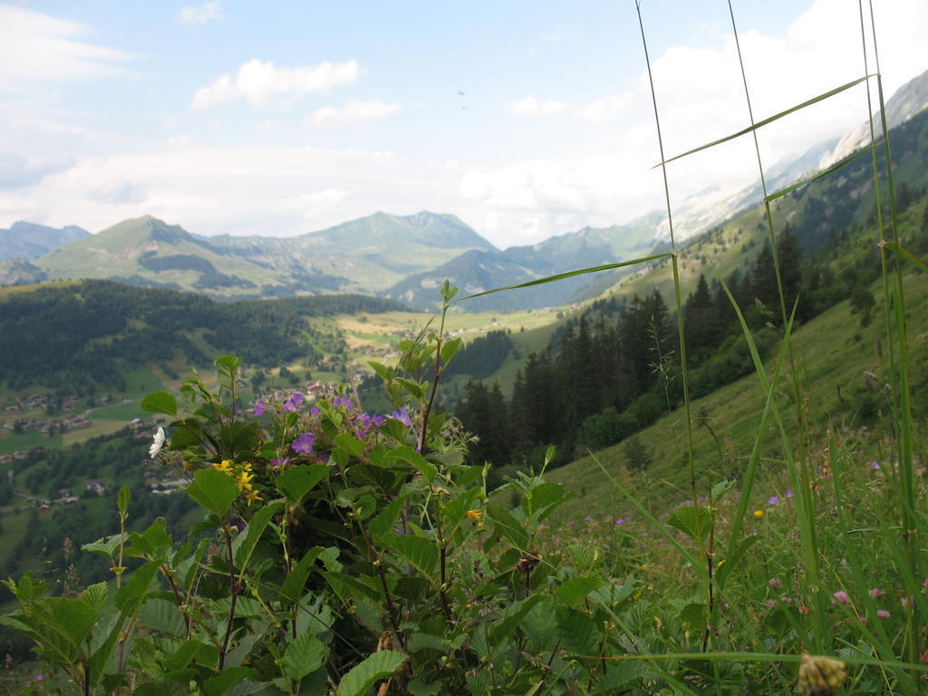 Hotel Bellachat La Clusaz Kültér fotó