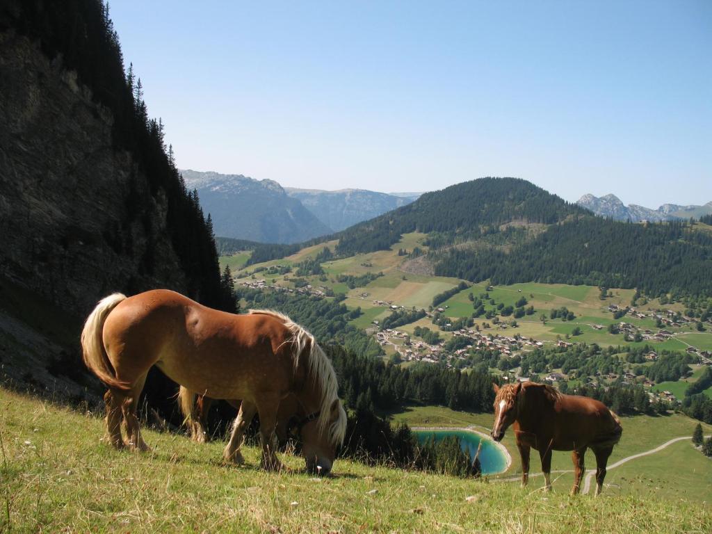 Hotel Bellachat La Clusaz Kültér fotó